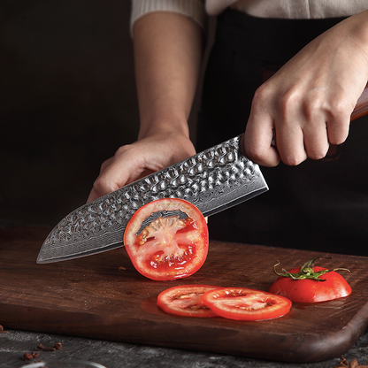 Santoku 7" Alto Carbono (B9H-RS)